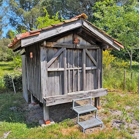 Prázdninový dům La Musarde
